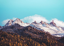 星空官方网站-尼克斯快艇随队记者纷纷发文 告诫球队慎买韦少